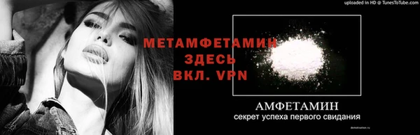 гидра Гатчина