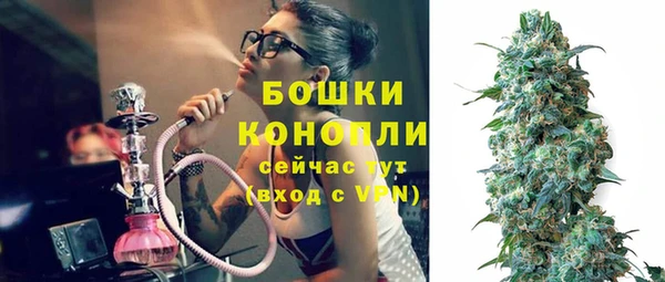 стафф Вяземский