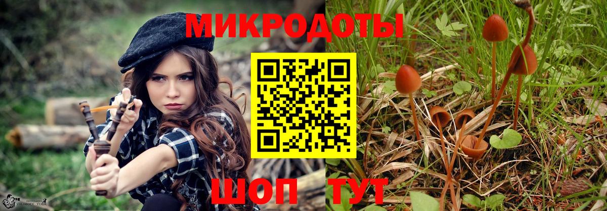 Гагарин  где можно купить   Вход с VPN  Псилоцибиновые грибы GOLDEN TEACHER 